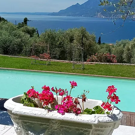 Domus Incantus 말세진느