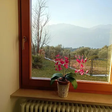 Domus Incantus Apartman